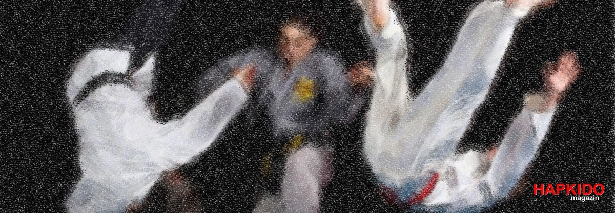 Sin Moo Hapkido Austria / Graz Großmeister Perry Zmugg
