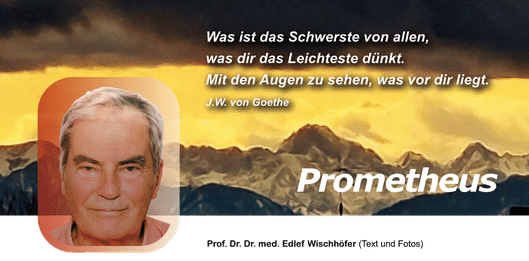 Prof. Dr. Dr. med. Edlef Wischhöfer - Die Leber von Prometheus