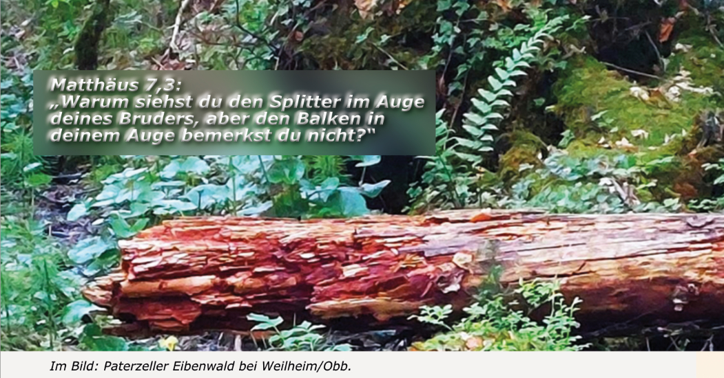 EibenwaldPatazellweb